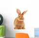Rabbit Wall Decal