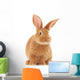 Rabbit Wall Decal