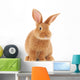 Rabbit Wall Decal