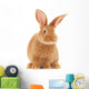 Rabbit Wall Decal