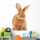 Rabbit Wall Decal