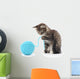 Cat with Ball Yarn Wall Decal