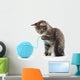 Cat with Ball Yarn Wall Decal