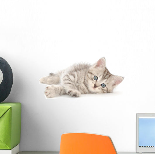 Kitten White Wall Decal
