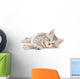 Kitten White Wall Decal