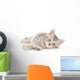 Kitten White Wall Decal