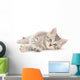 Kitten White Wall Decal