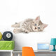 Kitten White Wall Decal