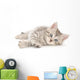 Kitten White Wall Decal