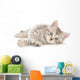 Kitten White Wall Decal