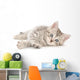 Kitten White Wall Decal