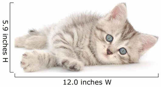 Kitten White Wall Decal
