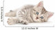 Kitten White Wall Decal