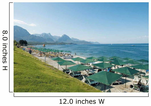Beach Wall Decal Design 3