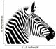 Zebra Wall Decal Design 1