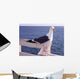 Pooper Wall Decal