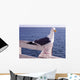 Pooper Wall Decal