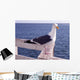 Pooper Wall Decal