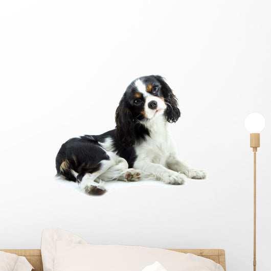 Cavalier Wall Decal