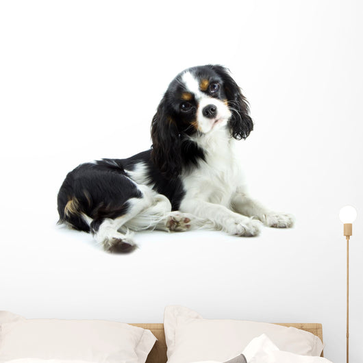 Cavalier Wall Decal