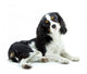 Cavalier Wall Decal