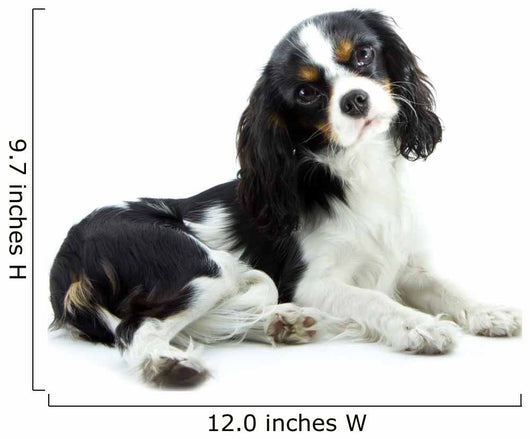 Cavalier Wall Decal