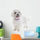 White Bichon Frise Wall Decal