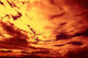Fiery Sunset Wall Decal