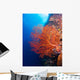 Giant Gorgonian Coral Wall Decal