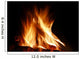 Close-up Fire and Flames Wall Decal