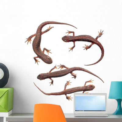 Common Newts White Wall Decal Sticker Set Wall Decal shown on a wall