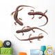 Common Newts White Wall Decal Sticker Set Wall Decal