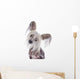 Chinese Crested Dog Wall Decal