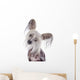 Chinese Crested Dog Wall Decal