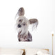 Chinese Crested Dog Wall Decal