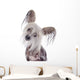 Chinese Crested Dog Wall Decal