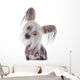 Chinese Crested Dog Wall Decal
