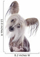 Chinese Crested Dog Wall Decal