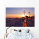 Coney Island Sunset Wall Decal