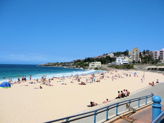 Coogee Beach Wall Decal