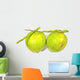 Green Coconuts over White Wall Decal