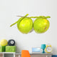 Green Coconuts over White Wall Decal