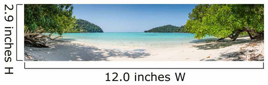 Huge Panorama Wild Tropical Wall Decal