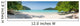 Huge Panorama Wild Tropical Wall Decal