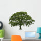 Abstract Summer Oak Tree Wall Decal