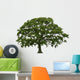 Abstract Summer Oak Tree Wall Decal