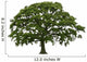 Abstract Summer Oak Tree Wall Decal