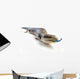 Blue Tongue Lizard Poking Wall Decal