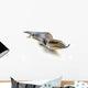 Blue Tongue Lizard Poking Wall Decal