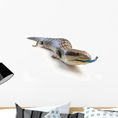 Blue Tongue Lizard Poking Wall Decal shown on a wall